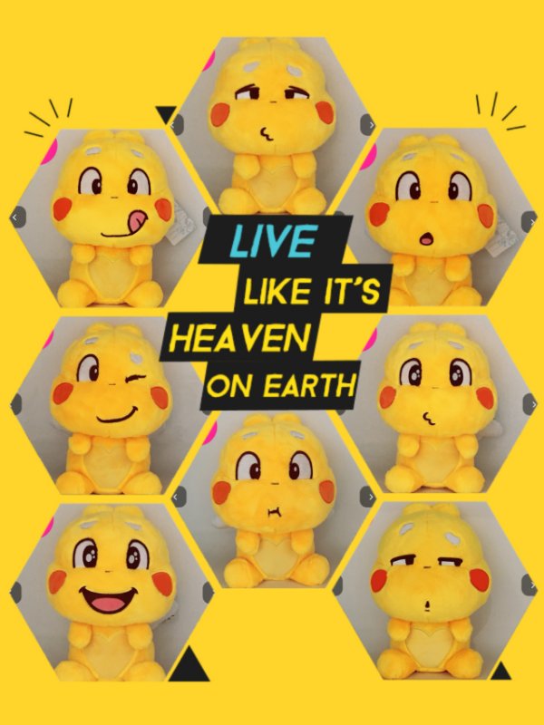 Qoobee plushy 2019